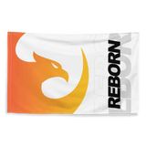 Drapeau Dropshipping Reborn